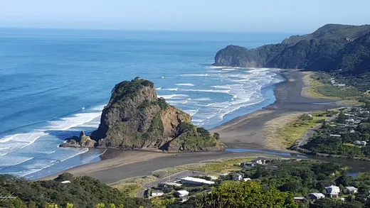 West Auckland bush and coastline, where Kiwi Web Design builds websites for Henderson and Kumeu businesses