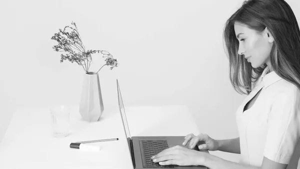 Charlie Chao与奥克兰小企业主就网站策略进行咨询