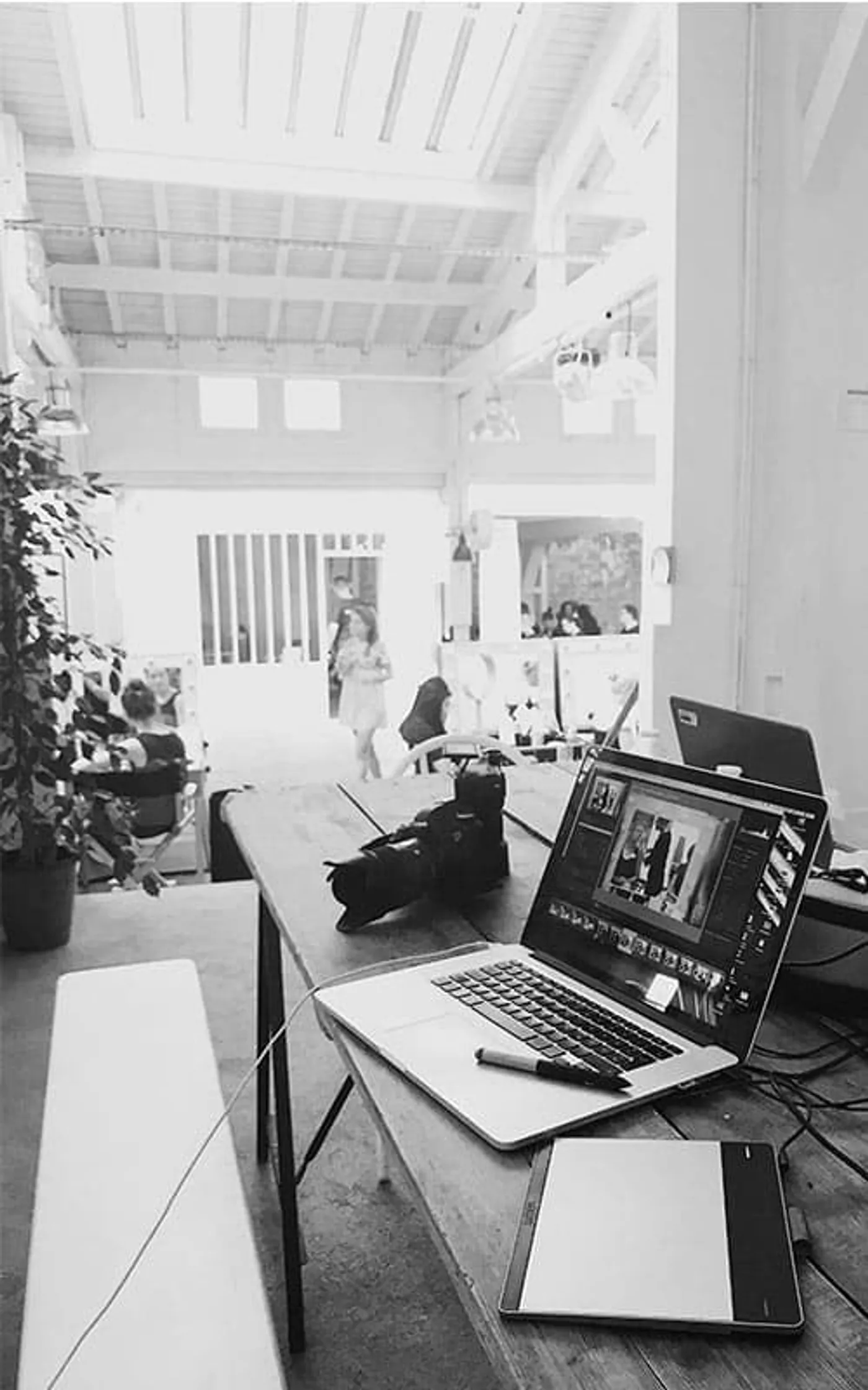 Kiwi Web Design奥克兰——帮助小企业在网上成长