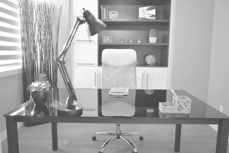 Kiwi Web Design team at work in Grey Lynn Auckland