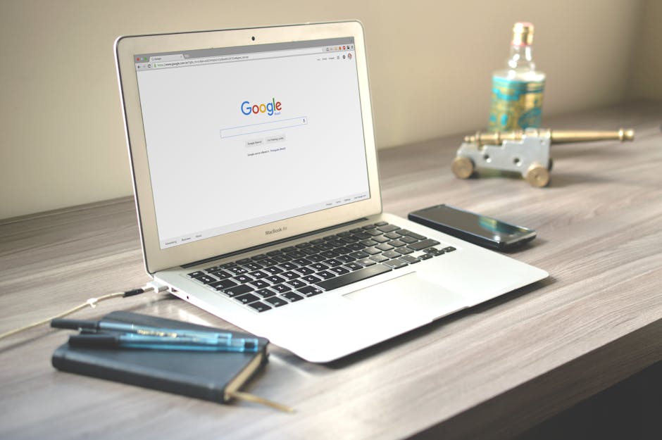 Domain management for Auckland small businesses