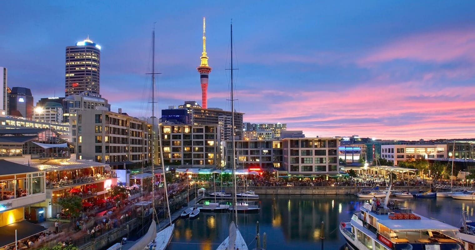 5 Reasons Why Small Kiwi Businesses Need A Website