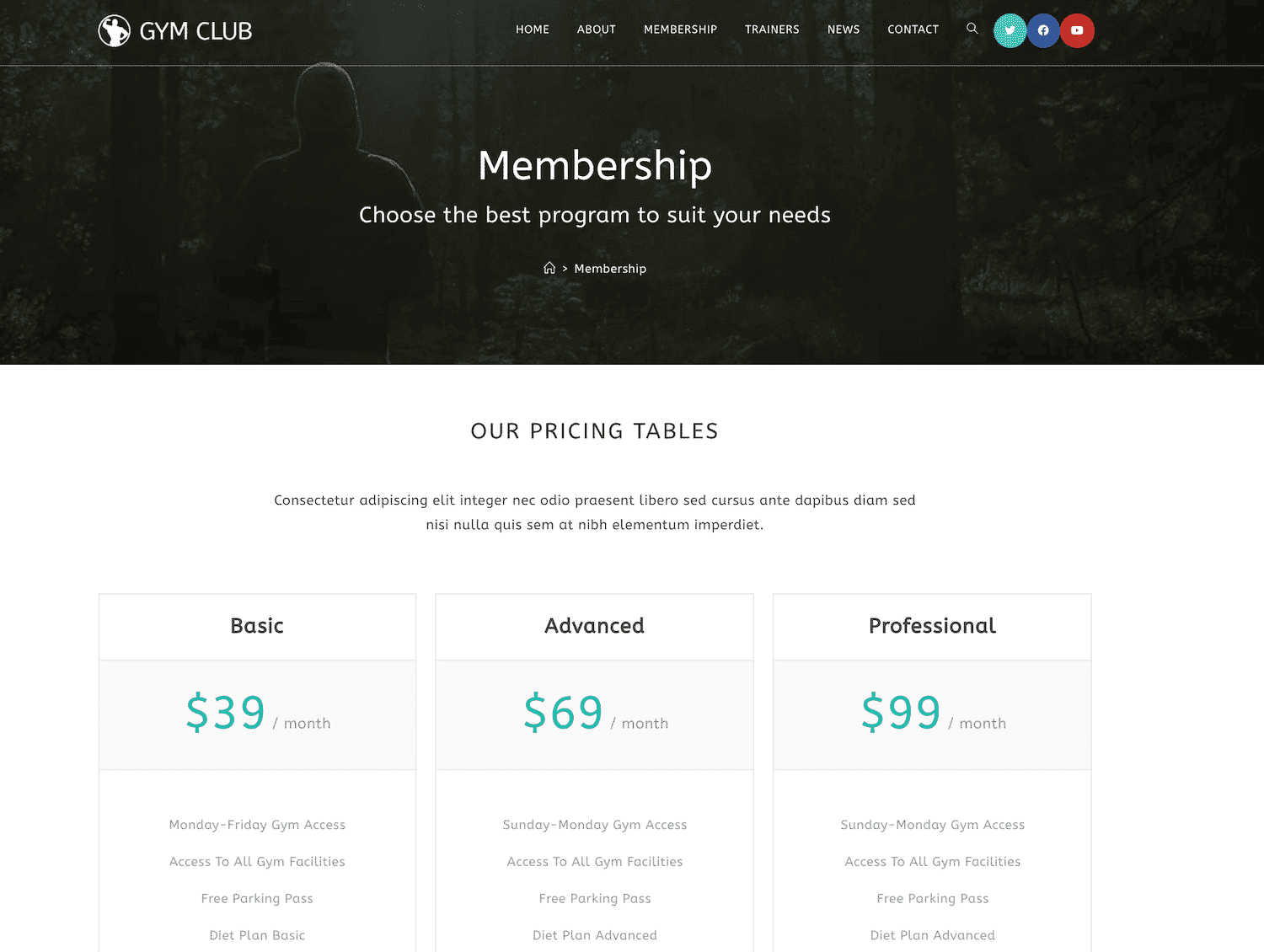 Membership website design Auckland – Kiwi Web Design
