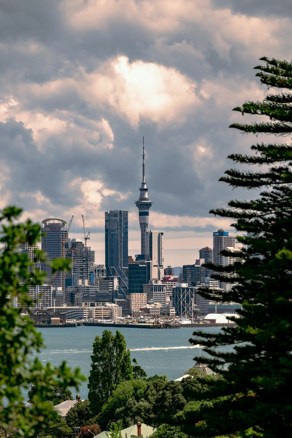 North Shore Auckland website design on a laptop for a local small business