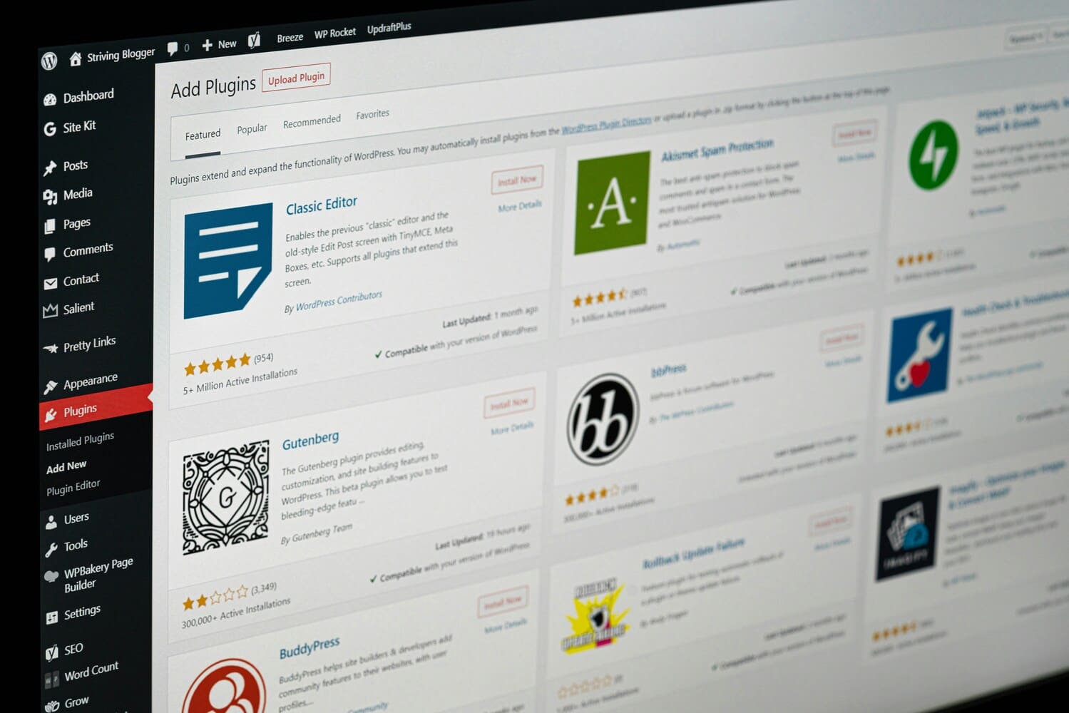 WordPress website design for Auckland small businesses by Kiwi Web Design